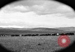 Image ranch United States USA, 1922, de la seconde 54 séquences d'archives historiques vidéo 65675072785
