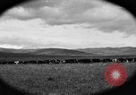 Image ranch United States USA, 1922, de la seconde 59 séquences d'archives historiques vidéo 65675072785