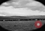 Image ranch United States USA, 1922, de la seconde 60 séquences d'archives historiques vidéo 65675072785
