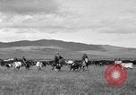Image ranch United States USA, 1922, de la seconde 18 séquences d'archives historiques vidéo 65675072786