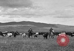 Image ranch United States USA, 1922, de la seconde 19 séquences d'archives historiques vidéo 65675072786