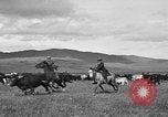 Image ranch United States USA, 1922, de la seconde 21 séquences d'archives historiques vidéo 65675072786