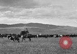 Image ranch United States USA, 1922, de la seconde 28 séquences d'archives historiques vidéo 65675072786