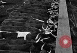 Image ranch United States USA, 1922, de la seconde 38 séquences d'archives historiques vidéo 65675072786