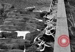 Image ranch United States USA, 1922, de la seconde 39 séquences d'archives historiques vidéo 65675072786
