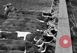 Image ranch United States USA, 1922, de la seconde 40 séquences d'archives historiques vidéo 65675072786