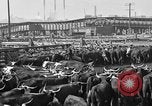 Image ranch United States USA, 1922, de la seconde 54 séquences d'archives historiques vidéo 65675072786