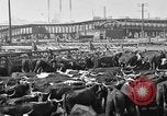 Image ranch United States USA, 1922, de la seconde 55 séquences d'archives historiques vidéo 65675072786