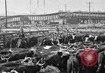 Image ranch United States USA, 1922, de la seconde 56 séquences d'archives historiques vidéo 65675072786