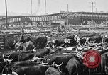 Image ranch United States USA, 1922, de la seconde 57 séquences d'archives historiques vidéo 65675072786