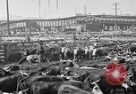 Image ranch United States USA, 1922, de la seconde 58 séquences d'archives historiques vidéo 65675072786