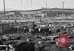 Image ranch United States USA, 1922, de la seconde 60 séquences d'archives historiques vidéo 65675072786