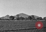 Image Arizona 1920 paysage Arizona United States USA, 1920, de la seconde 7 séquences d'archives historiques vidéo 65675072787
