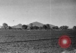 Image Arizona 1920 paysage Arizona United States USA, 1920, de la seconde 17 séquences d'archives historiques vidéo 65675072787