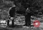 Image l'or à la batée Arizona United States USA, 1920, de la seconde 10 séquences d'archives historiques vidéo 65675072790