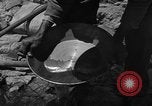 Image l'or à la batée Arizona United States USA, 1920, de la seconde 39 séquences d'archives historiques vidéo 65675072790