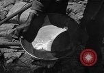Image l'or à la batée Arizona United States USA, 1920, de la seconde 40 séquences d'archives historiques vidéo 65675072790