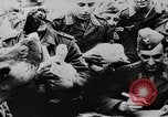 Image of Christmas celebration Germany, 1943, second 15 stock footage video 65675072798