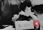Image of Christmas celebration Germany, 1943, second 20 stock footage video 65675072798