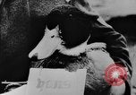 Image of Christmas celebration Germany, 1943, second 21 stock footage video 65675072798