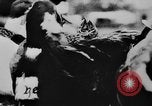 Image of Christmas celebration Germany, 1943, second 22 stock footage video 65675072798