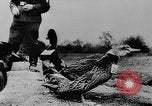 Image of Christmas celebration Germany, 1943, second 30 stock footage video 65675072798
