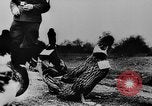 Image of Christmas celebration Germany, 1943, second 31 stock footage video 65675072798