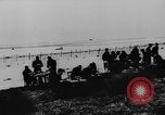 Image of Christmas in Germany in World War 2 Germany, 1943, second 27 stock footage video 65675072799
