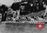 Image of Christmas in Germany in World War 2 Germany, 1943, second 39 stock footage video 65675072799