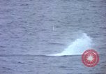 Image of QH-50C helicopter Pacific Ocean, 1963, second 30 stock footage video 65675072815