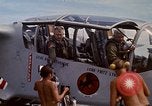 Image poneys noir Vietnam, 1971, de la seconde 44 séquences d'archives historiques vidéo 65675072818