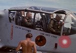 Image poneys noir Vietnam, 1971, de la seconde 47 séquences d'archives historiques vidéo 65675072818