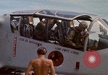 Image poneys noir Vietnam, 1971, de la seconde 48 séquences d'archives historiques vidéo 65675072818
