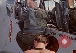 Image poneys noir Vietnam, 1971, de la seconde 53 séquences d'archives historiques vidéo 65675072818