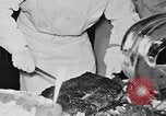 Immagine di Cadetti internazionale Programma di scambio United States USA, 1953, secondo 24 filmato di repertorio 65675072826
