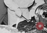 Immagine di Cadetti internazionale Programma di scambio United States USA, 1953, secondo 26 filmato di repertorio 65675072826