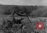 Immagine di Operazione Dragoon Sud della Francia, 1944, secondo 14 filmato di repertorio 65675072831