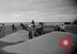 Image of Germany invades on Eastern Front Soviet Union, 1941, second 43 stock footage video 65675072841
