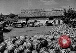 Image of Germany invades on Eastern Front Soviet Union, 1941, second 45 stock footage video 65675072841