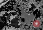 Image of Germany invades on Eastern Front Soviet Union, 1941, second 51 stock footage video 65675072841