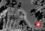Image of Germany invades on Eastern Front Soviet Union, 1941, second 52 stock footage video 65675072841