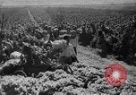Image of Germany invades on Eastern Front Soviet Union, 1941, second 53 stock footage video 65675072841