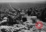 Image of Germany invades on Eastern Front Soviet Union, 1941, second 54 stock footage video 65675072841