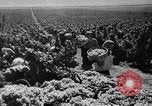 Image of Germany invades on Eastern Front Soviet Union, 1941, second 55 stock footage video 65675072841