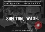 Image récolte d'arbres de Noël Shelton Washington USA, 1939, de la seconde 1 séquences d'archives historiques vidéo 65675072846