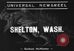 Image récolte d'arbres de Noël Shelton Washington USA, 1939, de la seconde 3 séquences d'archives historiques vidéo 65675072846