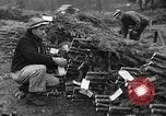 Image récolte d'arbres de Noël Shelton Washington USA, 1939, de la seconde 14 séquences d'archives historiques vidéo 65675072846