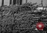Image récolte d'arbres de Noël Shelton Washington USA, 1939, de la seconde 24 séquences d'archives historiques vidéo 65675072846