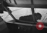 Image of life saving method New Jersey United States USA, 1939, second 50 stock footage video 65675072847