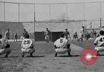 Immagine di Boston api San Antonio Texas USA, 1941, secondo 19 filmato di repertorio 65675072853